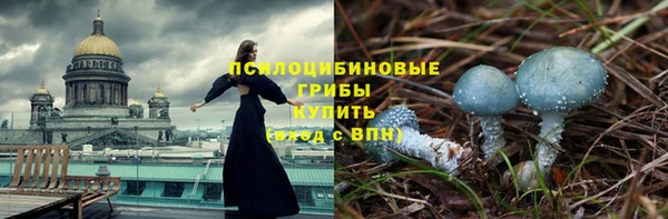 дурь Майский