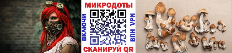 Псилоцибиновые грибы GOLDEN TEACHER Нижнеудинск