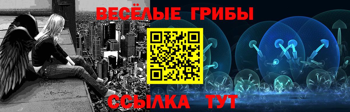 Нижнеудинск  Галлюциногенные грибы ЛСД  Вход с VPN 