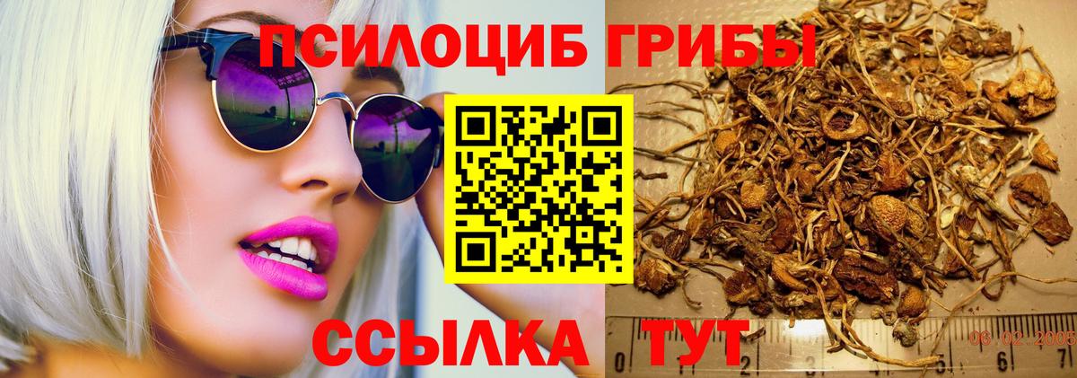 Галлюциногенные грибы прущие грибы Нижнеудинск