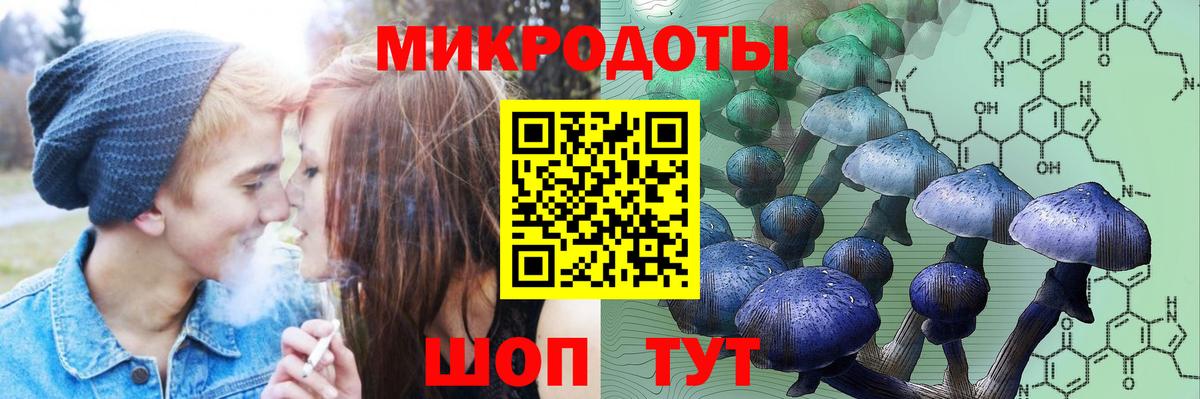 Псилоцибиновые грибы Psilocybine cubensis  Галлюциногенные грибы прущие грибы  Нижнеудинск 